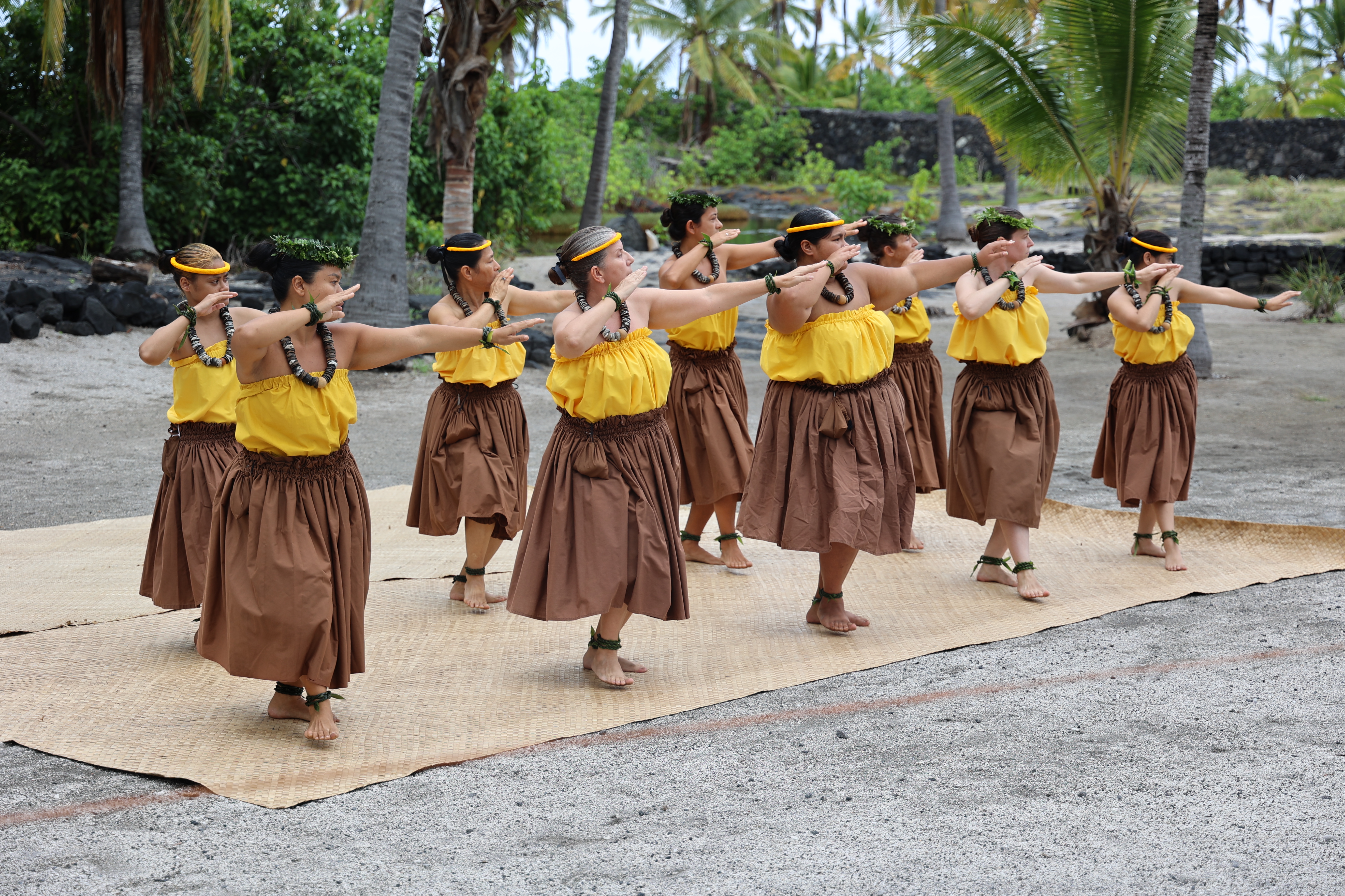 Group of hula dancers in Royal Grounds