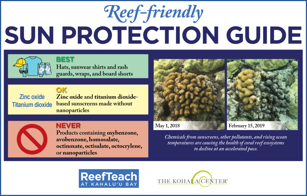Reef friendly sun protection guidelines graphic