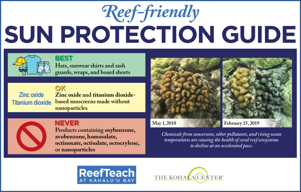 Reef Friendly Sunscreen Reef friendly sun protection guidelines graphic