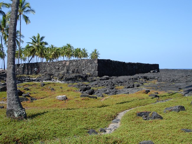 A rectangular stacked-stone temple platform with coconut trees in the background and low greenery in the foreground