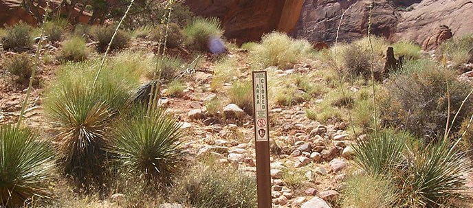Rocks and plants surround a sign reading Closed Area. Rocks and plants surround a sign reading Closed Area.
