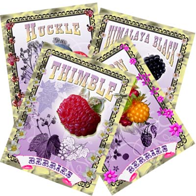 Berry Pickers Identification Cards