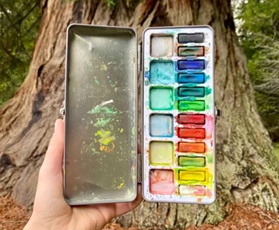 A hand holds a tray of colorful paints in front of a redwood tree.