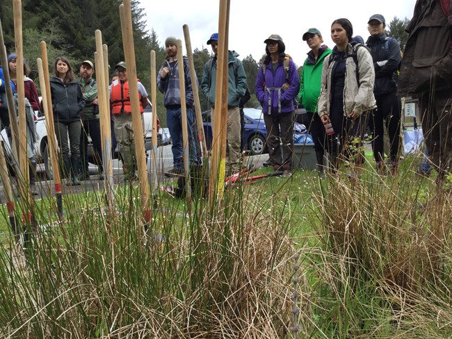 Volunteers gather behind restoration tools