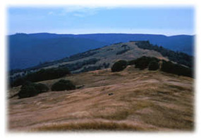 Bald Hills prairie