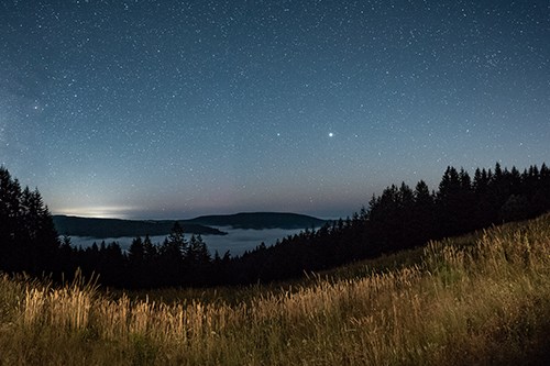 Redwood Panorama at Night, NPAN Panoramic scene showing grassy meadow or prairie in the foreground, surrounded by redwood trees. In the distance, redwood tree-covered hills and fog hovering the valley below. Starry night sky above.