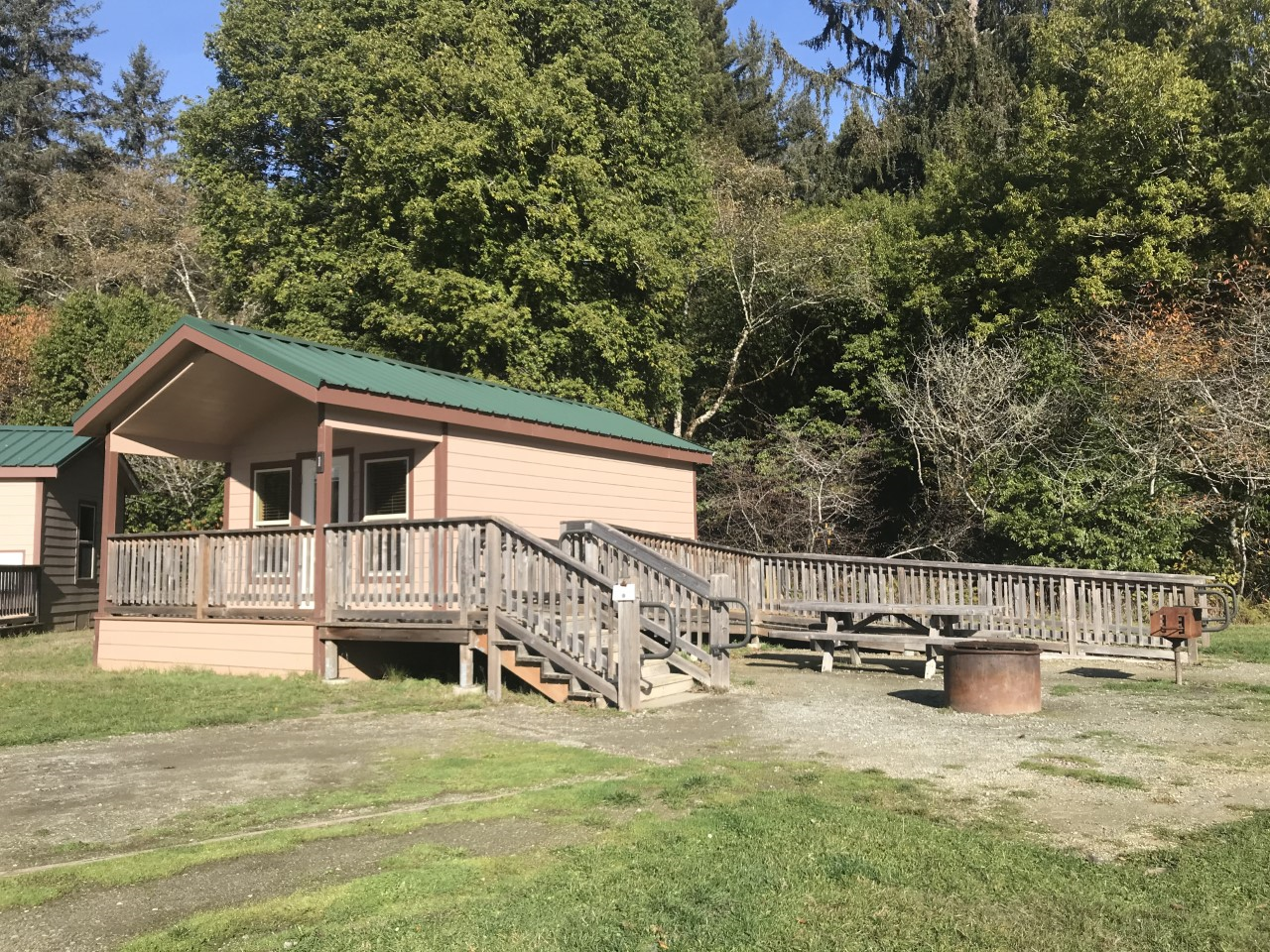 A modern cabin sits next to redwood trees.