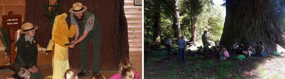 Left Image: Rangers with child dressed like a banana slug. Right Image: Ranger and children under a redwood tree.