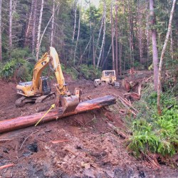 Tractor picking up log in forest