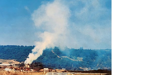 Smoke rises from a lumber mill on a beach