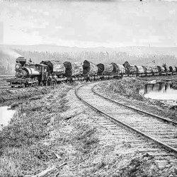 Train with big logs on it.