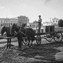 Wagon with horses and man driving