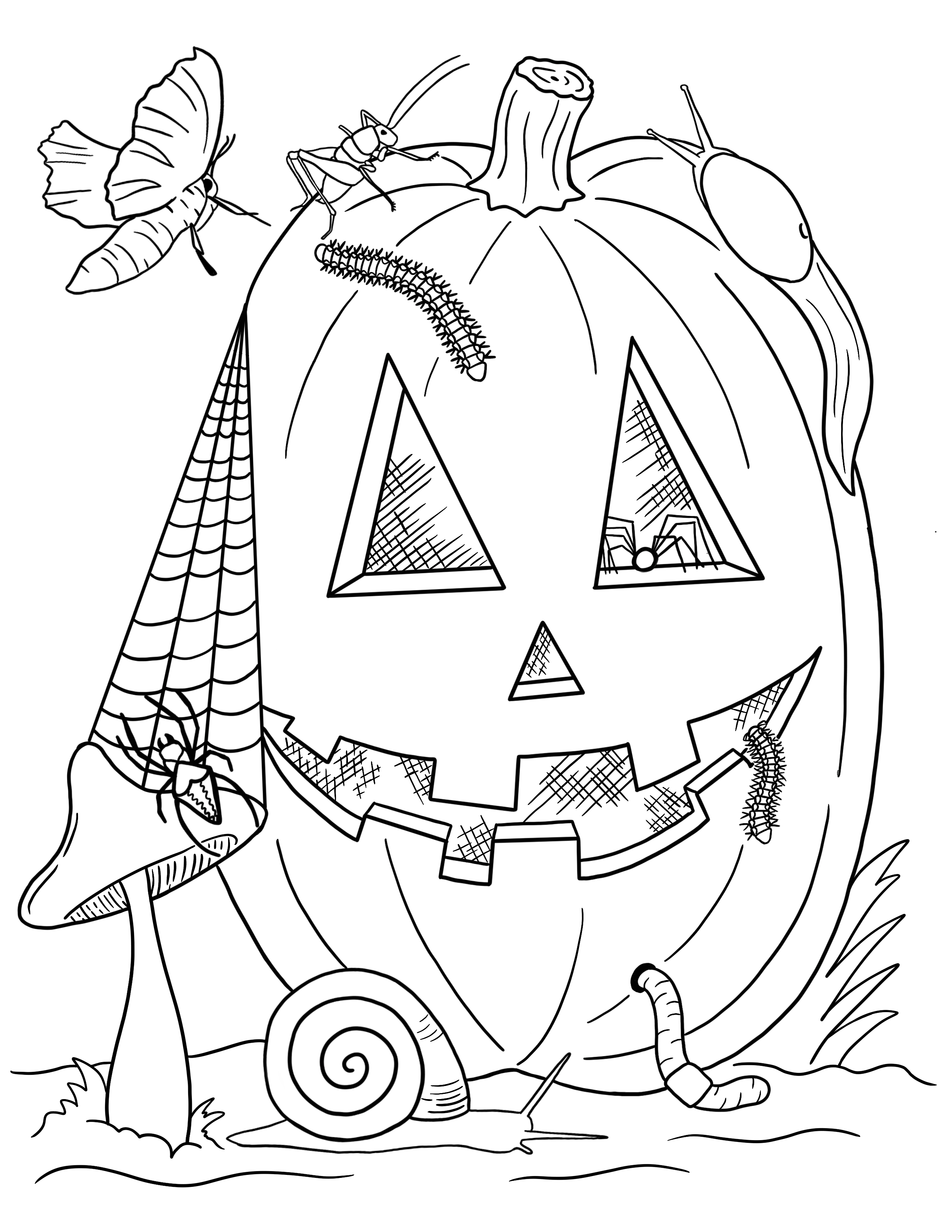 A black and white cartoon of a carved jack-o-lantern. A mushroom to the left connects the pumpkin with a spider web. A moth flies to the upper left. A cricket and banana slug slither at the top of the pumpkin. A worm comes out of the base.