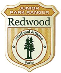 Redwood_Junior_Ranger