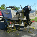 Aquatic grass hangs on a boat and trailer.