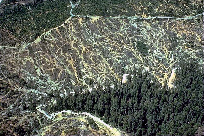 Logging and skid roads criss-cross a hillside