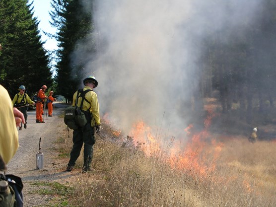 Fire fighters light grass on fire from the road.