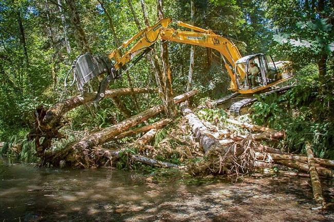 Heavy machinery places large wood into a stream