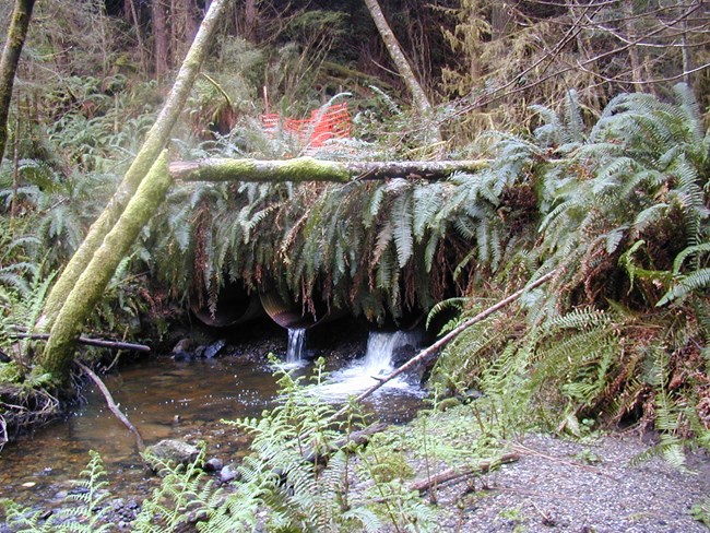 Water flows out of culverts into a creek