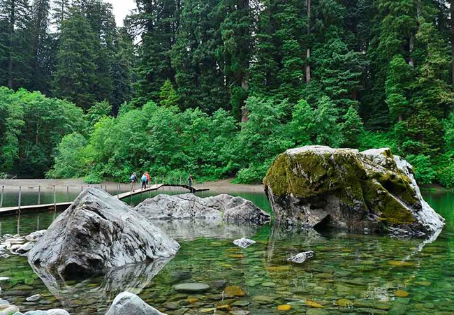 A wooden bridge with two people crosses a river. Redwood trees in the background and rocks in the foreground.