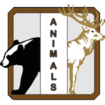 Animals