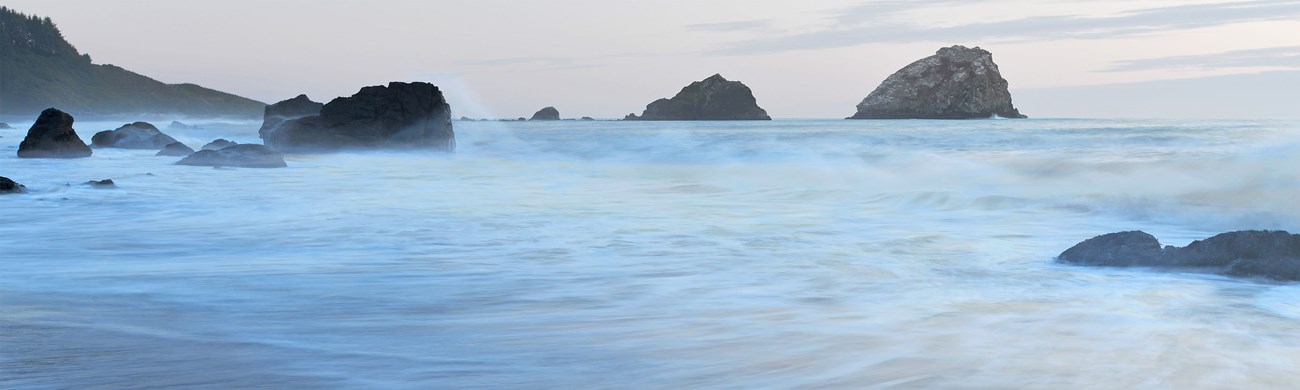 Ocean, seastacks and coastline