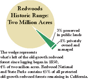 redwood forest pie chart