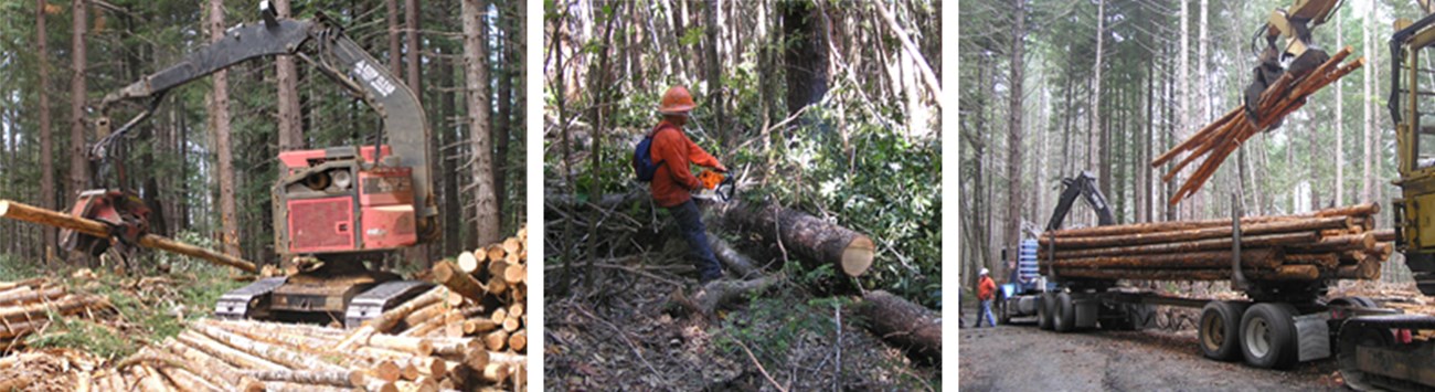 Montage of machinery used in thinning projects.
