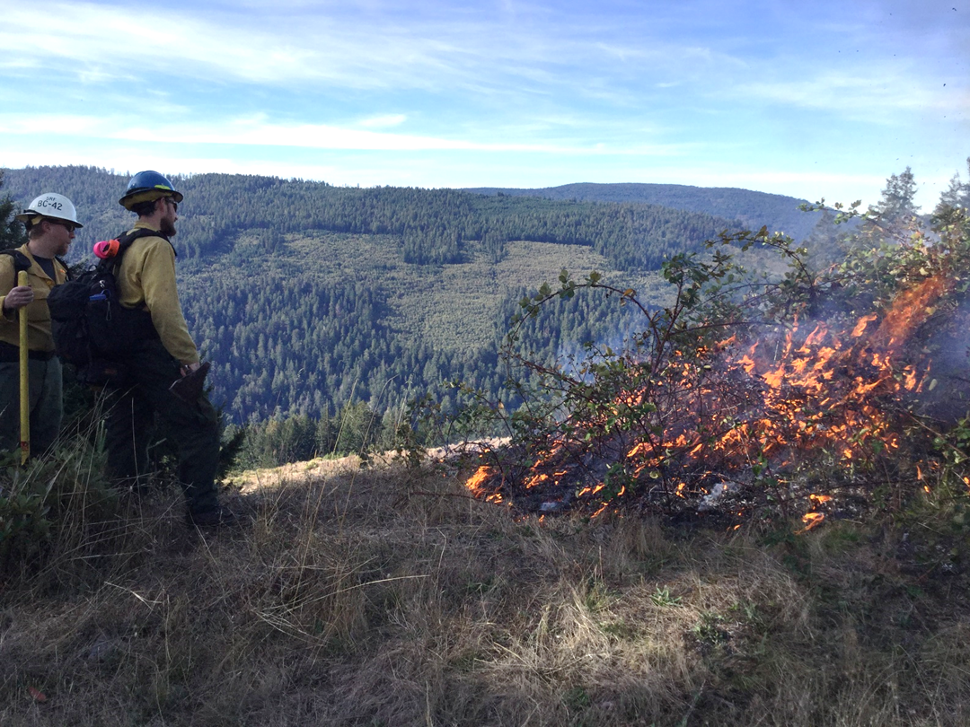 Two people conducting a prescribed burn on vegetation in the Balds Hills of Redwood National Park.