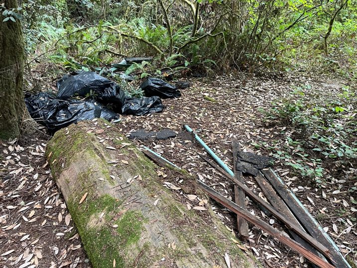 2025_trash_pressreleased Trash in a redwood forest containing shingles, tar paper, old OSB board, siding and metal mesh and gutter trim.