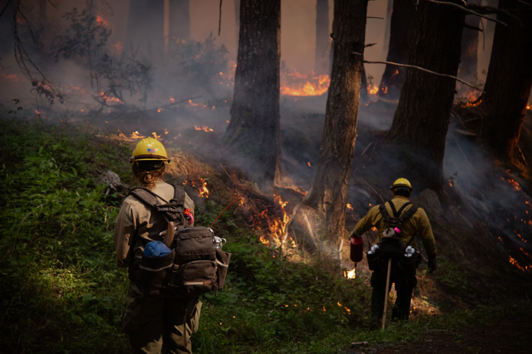 A person wearing a helmet and fire safety gear watches as another person in the same gear uses a fire torch to conduct prescribed burns in a forested area. Smoke fills the air while fire smolders on the ground.