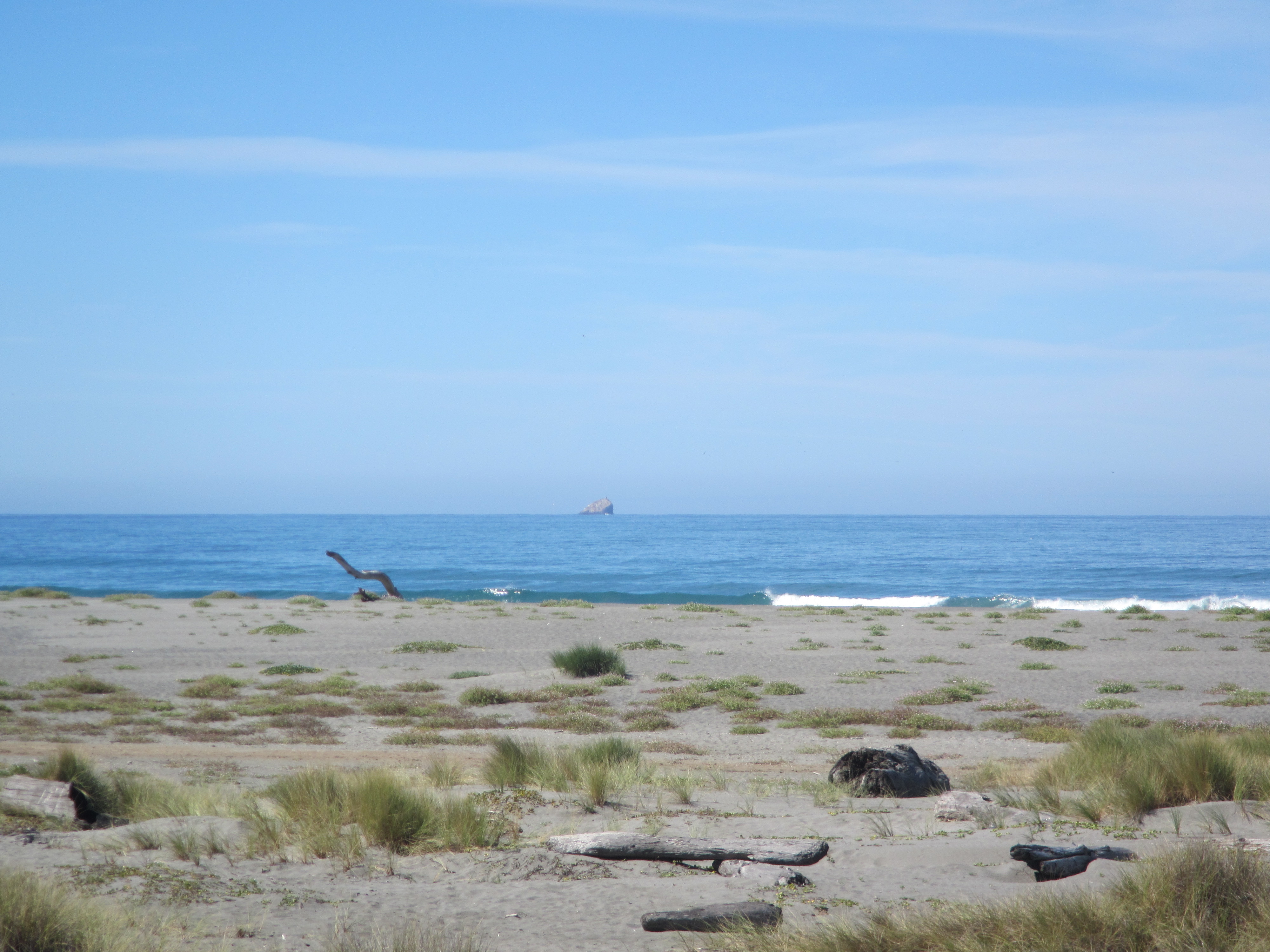 Grey sand dunes at Gold Bluffs Beach.