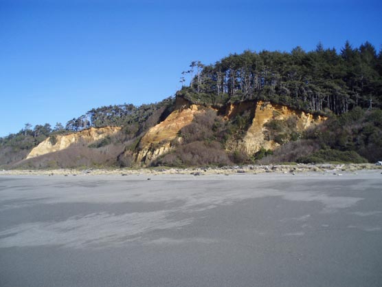 Gold Bluffs Beach