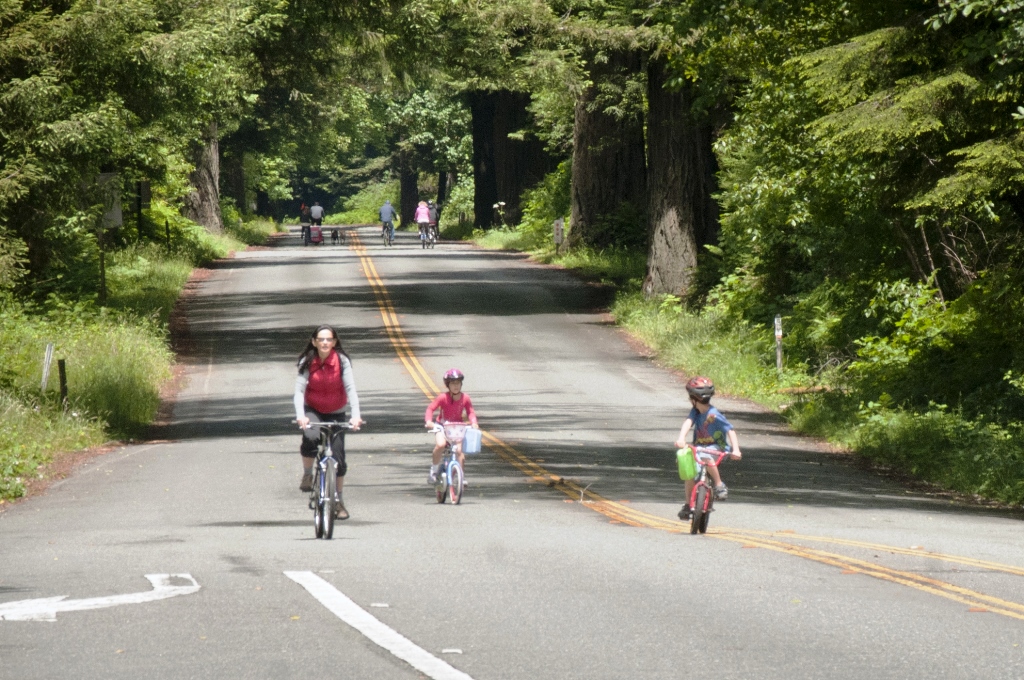 A family on bikes riding through a redwood parkway