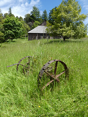 Historic farm equipment and barn