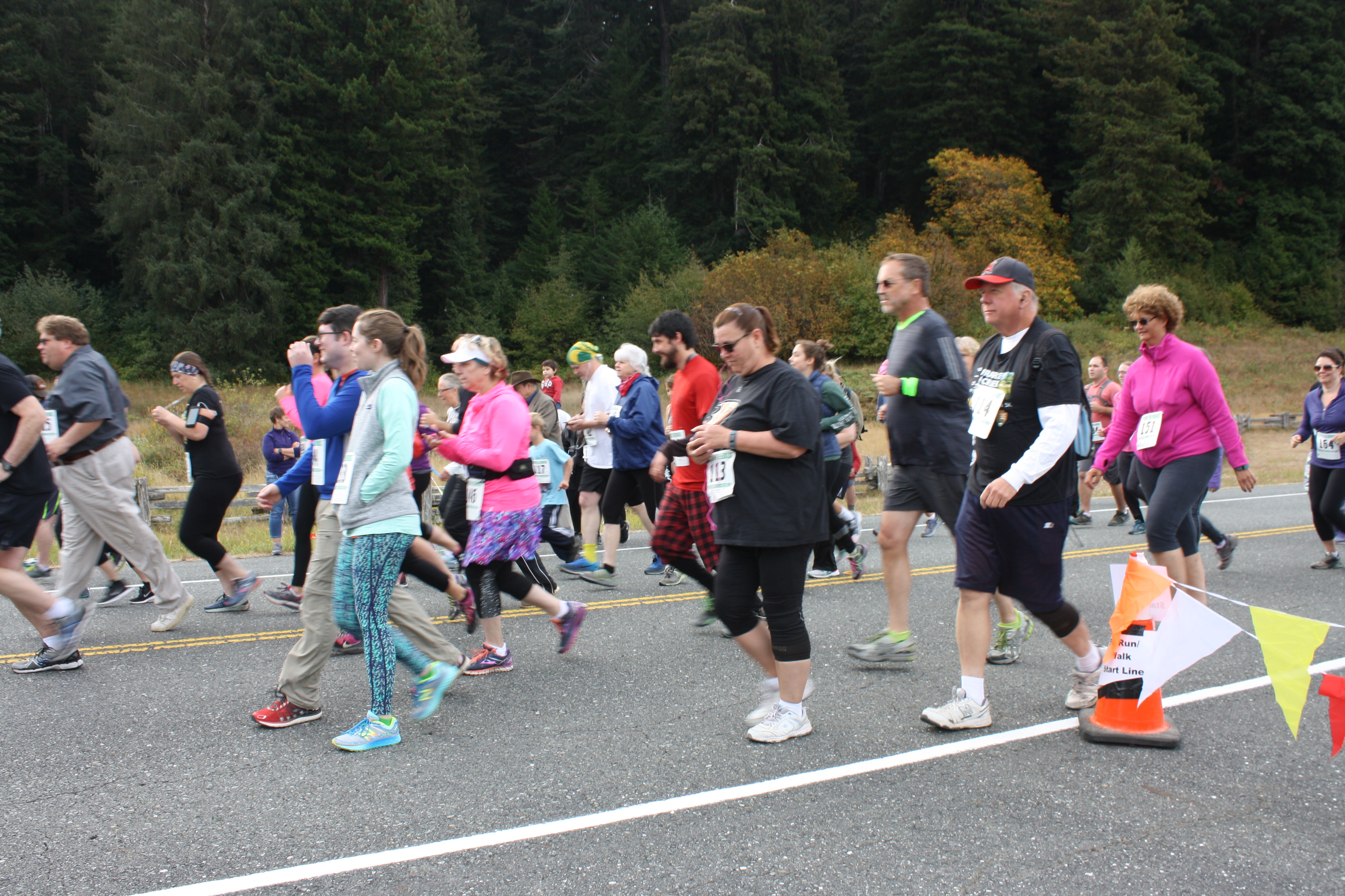 A groups of runners and walkers in the redwoods.