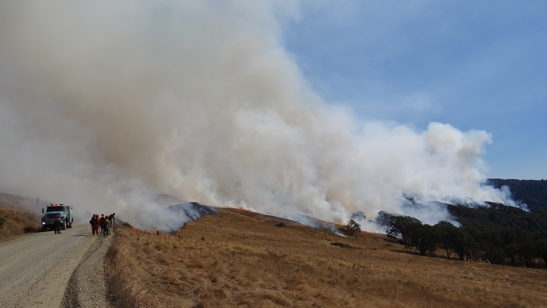 Prescribed fire in the Bald Hills of Redwood National and State Parks