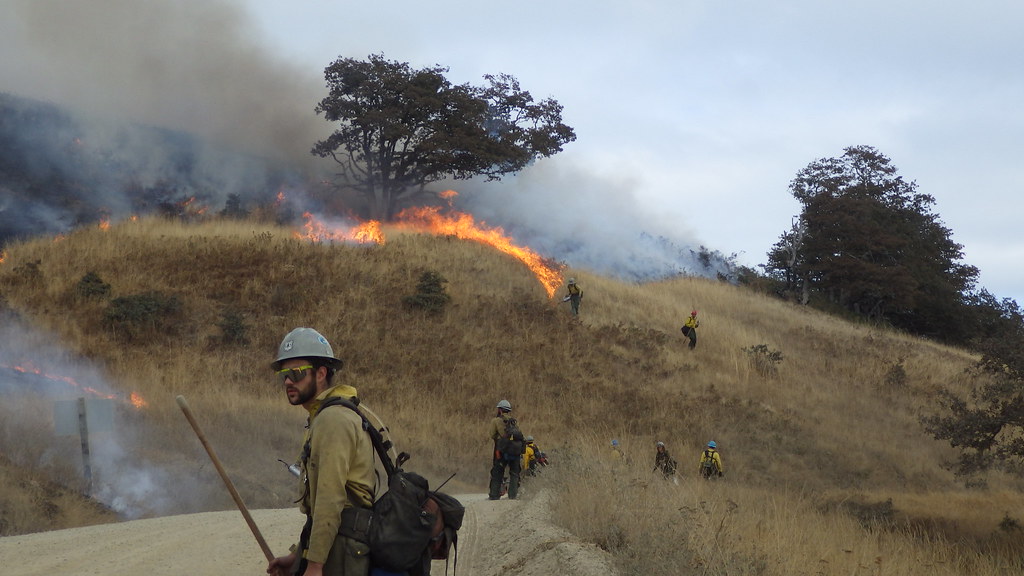 Fire crews walk along a gravel road with drip torches in hand. Grasses burn on a hill.