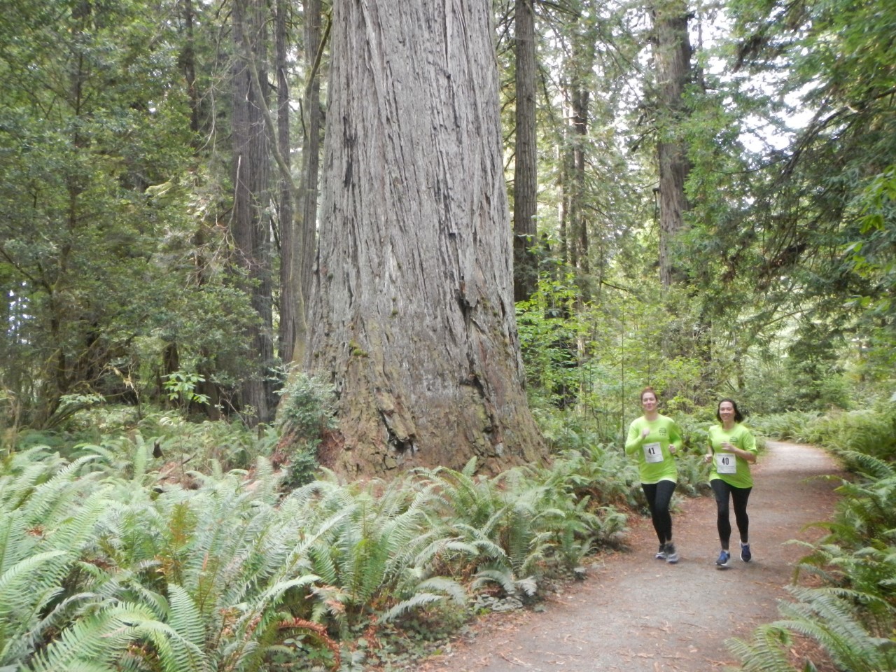 Two women run past a redwood tree.