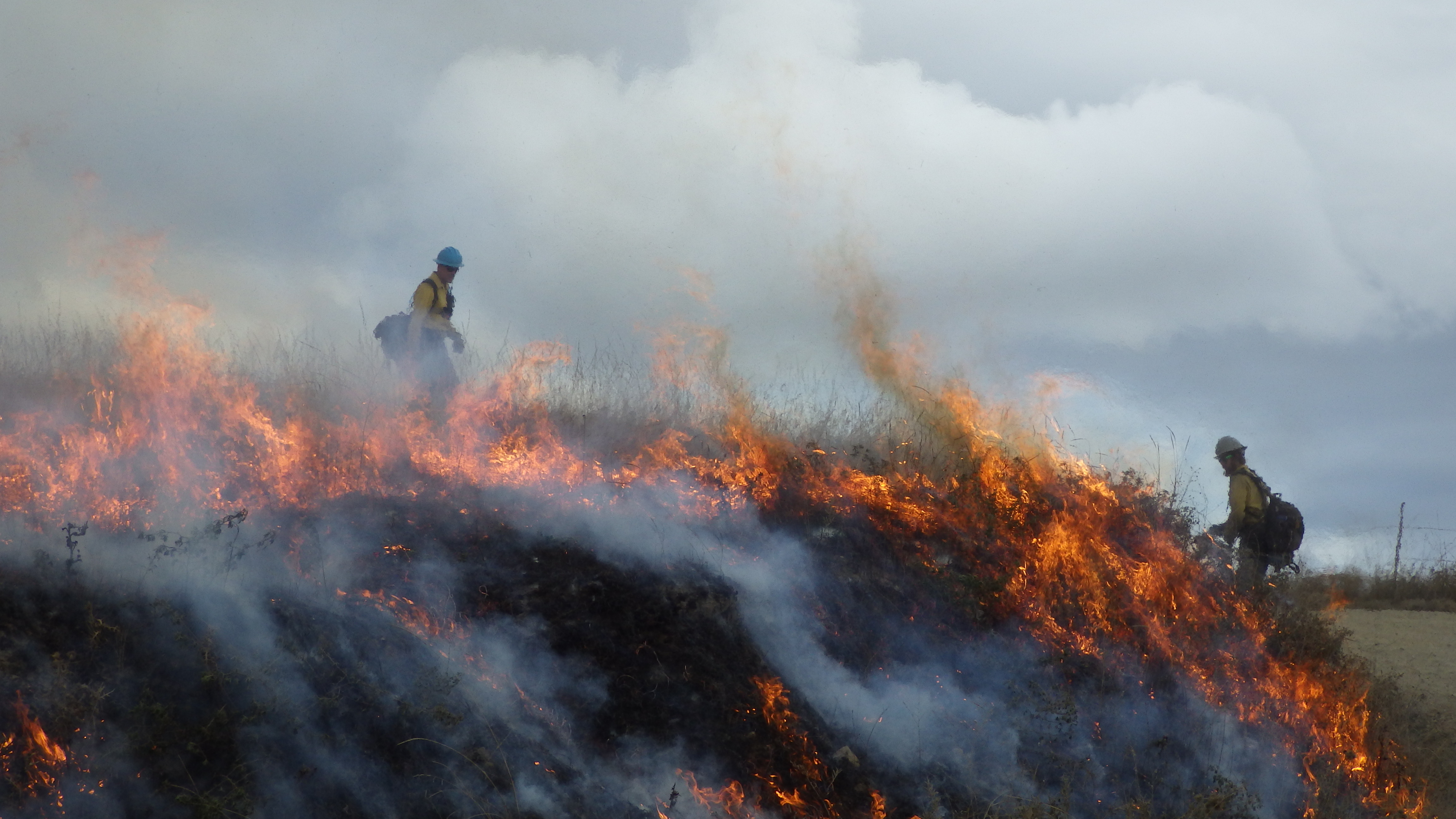 Prescribed fire in grasslands