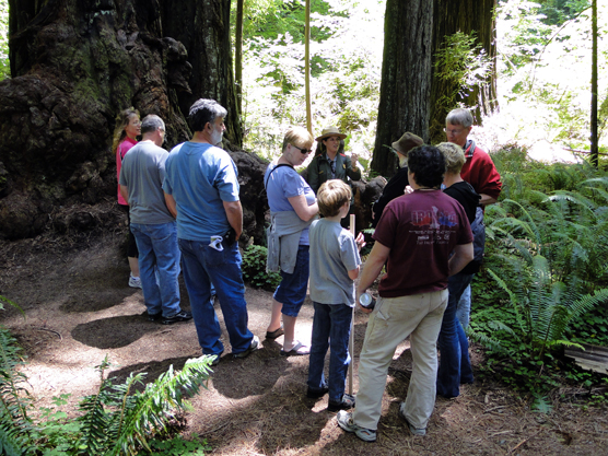 Visitors enjoy ranger-led interpretive program at Stout Grove