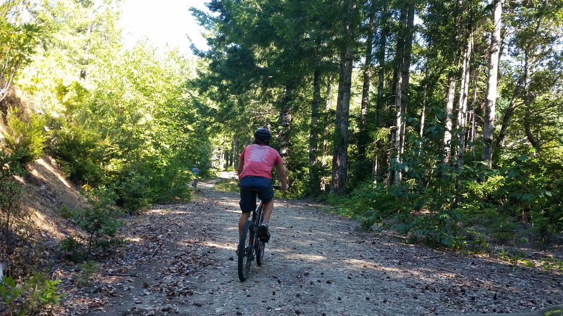 Bike rider on dirt trail