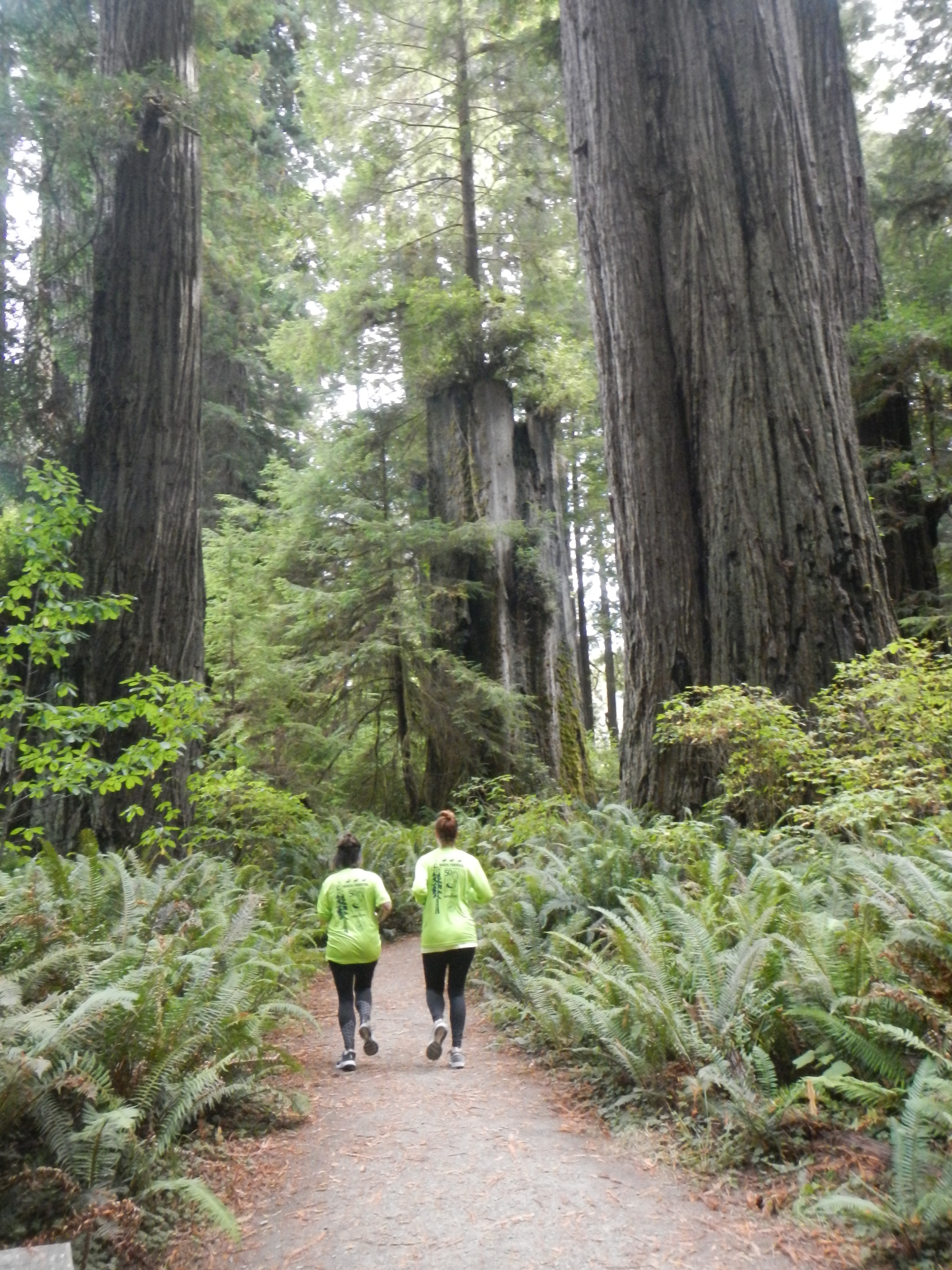 Two woman run under redwoods trees.