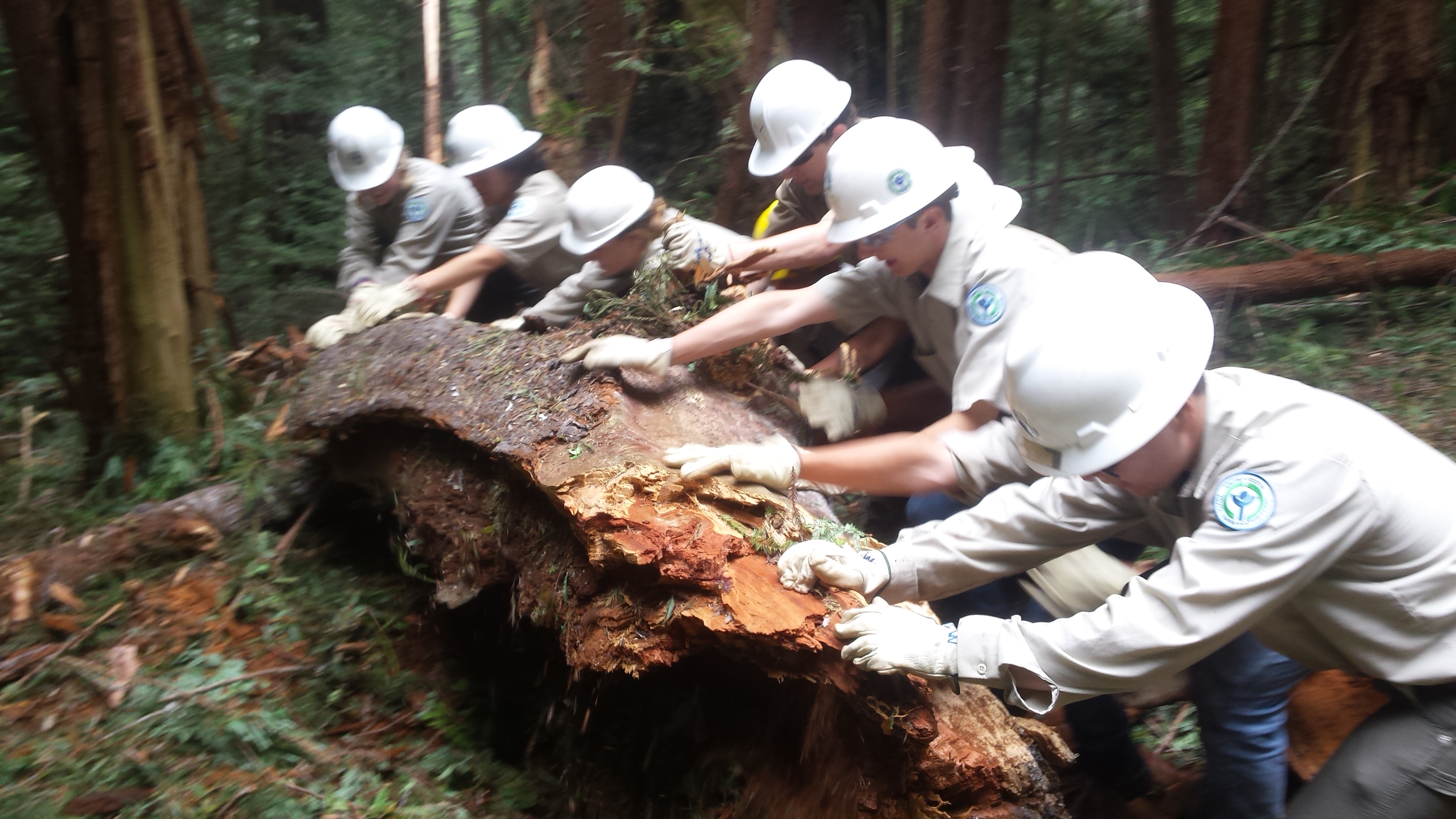 Six youth in white helmets push a log.