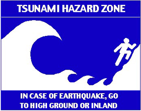 tsunami logo