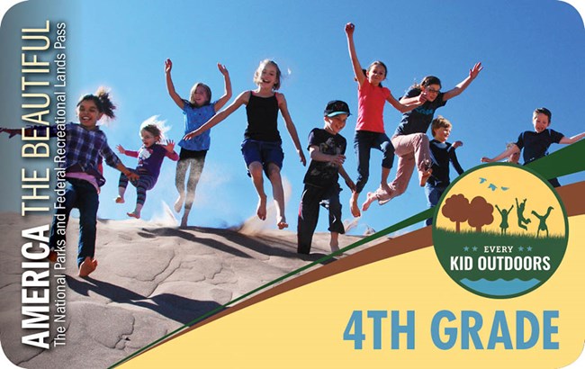Park pass showing children jumping down a sand dune.