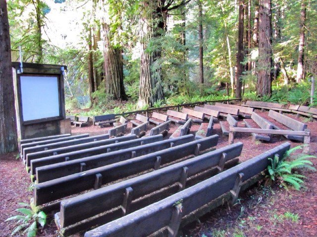 amphitheater surrounded by trees
