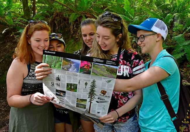 Young women use a park map