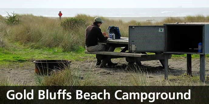 Gold_Bluffs_Beach_Campground