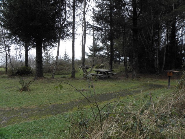 grassy area with picnic tables and charcoal grills